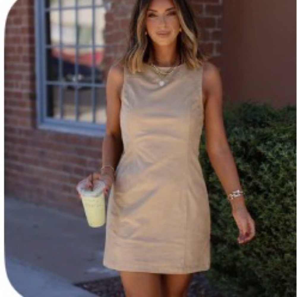 Sadie & Sage Taupe Sleeveless Shift Dress
